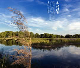 新義水鄉(xiāng)中醫(yī)藥浴康養(yǎng)、黃龍溪古鎮(zhèn)二日游